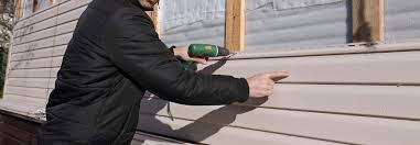 Best Siding Painting and Refinishing  in USA